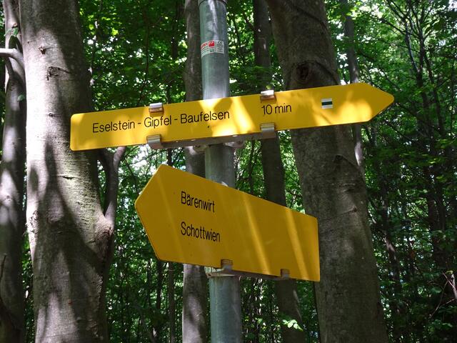 Ausgangspunkt ist Schottwien oder die Raststation an der S6. ... Eine leicht begehbare Wanderroute führt in etwa 1 1/2 Std auf den Eselstein. ...
 | Foto: © Silvia Plischek