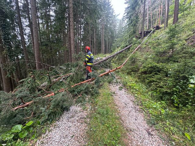 Foto: Patrick Marcher, FF-Kainach