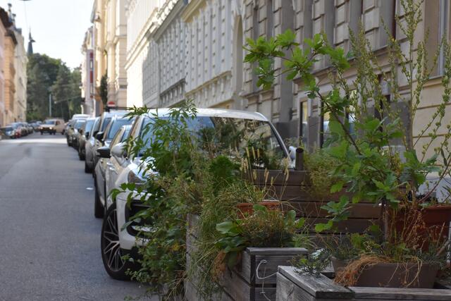Die Grätzoasen sind auch eine Barriere zur Straße. | Foto: BV Währing