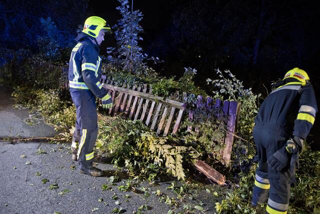 Der Holzzaun wird entfernt für die Bergung. | Foto: BFKDO BADEN / Stefan Schneider