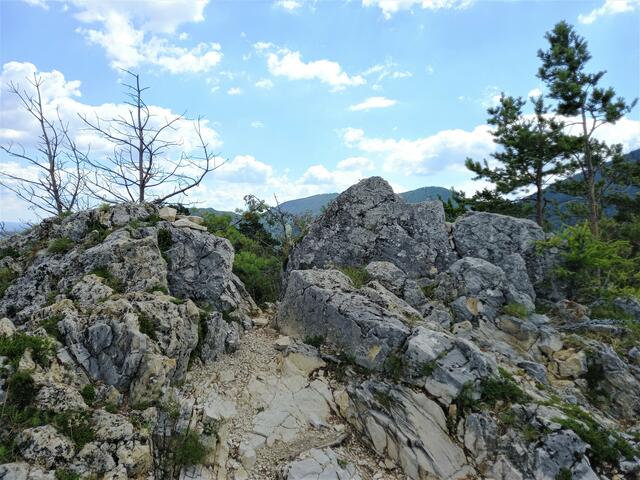 Versicherter Aufstieg auf den Gipfelfelsen. ... | Foto: © Silvia Plischek