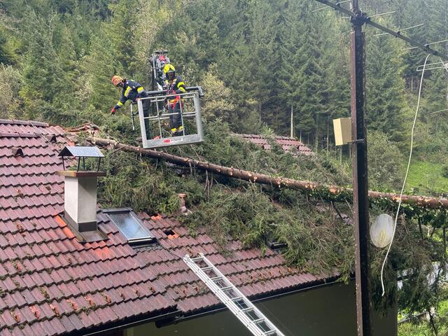 Foto: Patrick Marcher, FF-Kainach