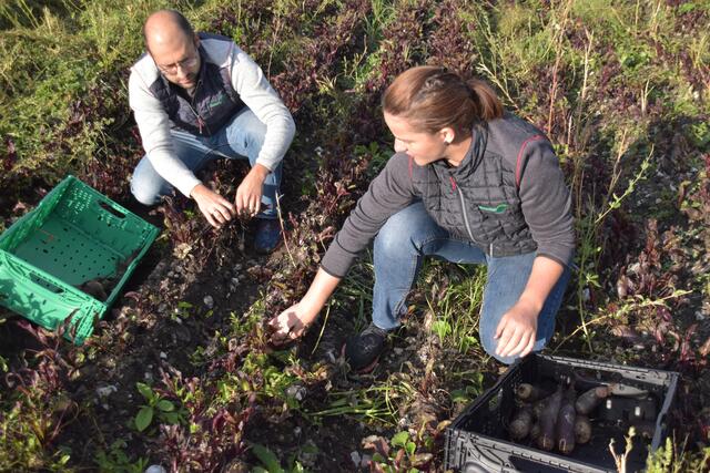 Nachhaltige Landwirtschaft am Rietzerhof: Familie Tauferer setzt auf regenerative Anbaumethoden und vielfältige Fruchtfolgen, um die Natur und ihre Ressourcen zu schützen. | Foto: MeinBezirk