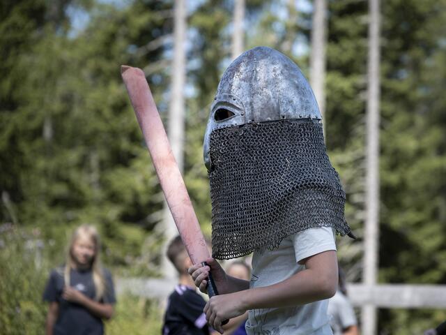 Bei Medieval Combat sind unter anderem Raffinesse, Taktik und Technik gefragt. | Foto: Klaus Unterbuchberger
