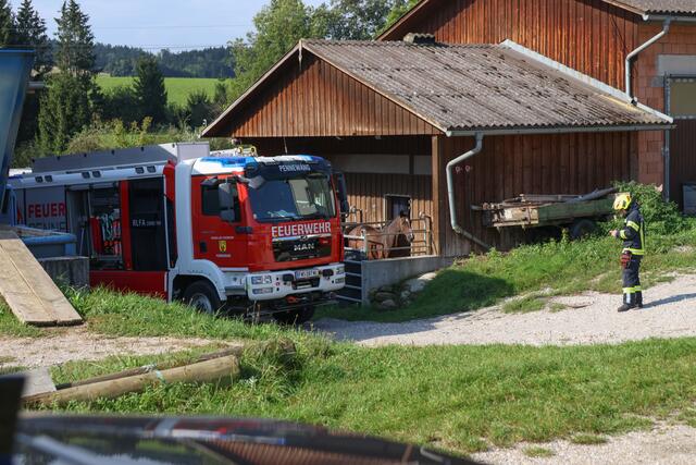 Die Feuerwehr versuchte einer Tierärztin in einem Stall in Pennewang auszuhelfen, die ein Pferd versorgte und versuchte, es wieder aufzurichten. | Foto: laumat.at