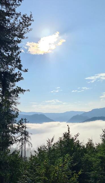 Göstling im Frühnebel | Foto: Ronald Höbling