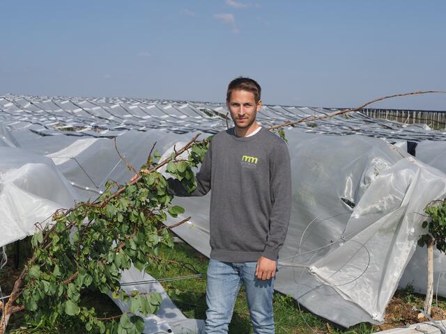 Landwirt Michael Simon vor seinen kaputten Marillenbäumen.