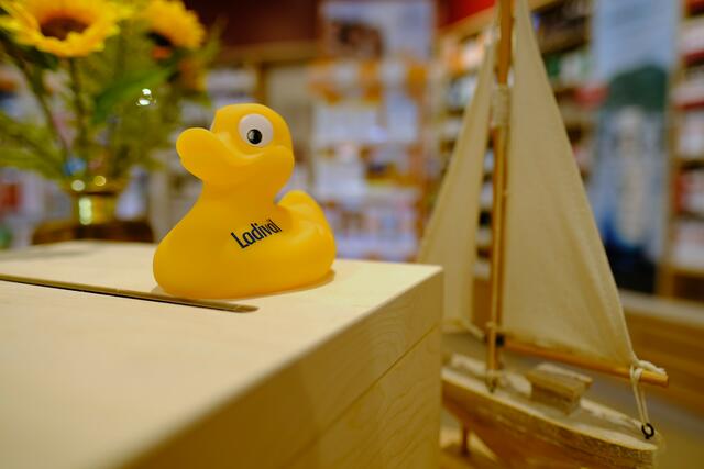 Malwettbewerb der Apotheke Krieglach: Zu gewinnen gab es eine Ente, die ein neues Zuhause suchte | Foto: Helmut Römer