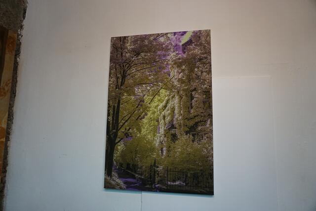 Foto: MeinBezirk/ Lisa Kropiunig