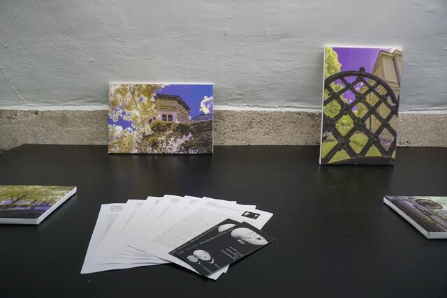 Foto: MeinBezirk/ Lisa Kropiunig