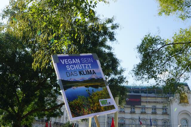 Foto: Ronja Reidinger/MeinBezirk.at