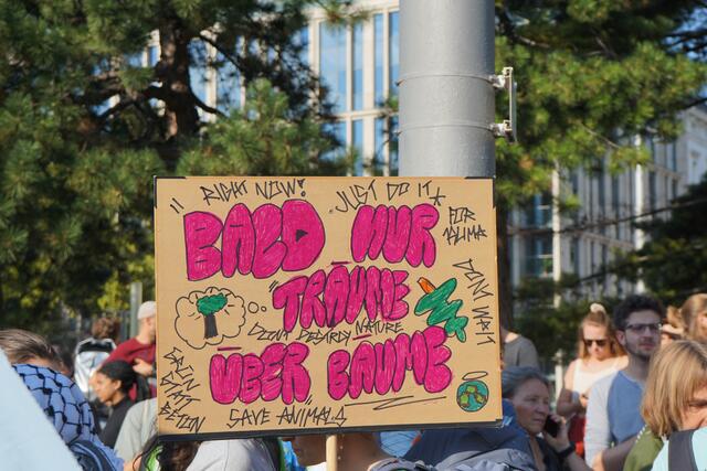 Foto: Ronja Reidinger/MeinBezirk.at