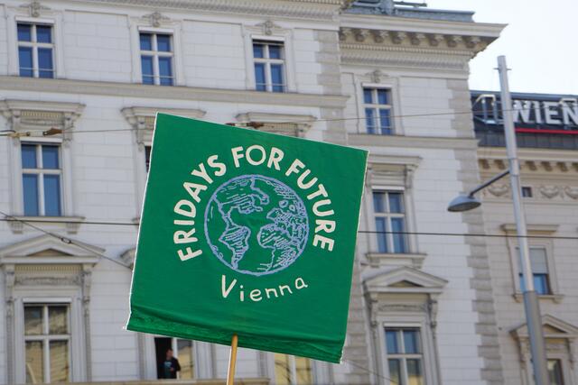 Rund 15.000 Menschen nahmen an der Demonstration teil. | Foto: Ronja Reidinger/MeinBezirk.at