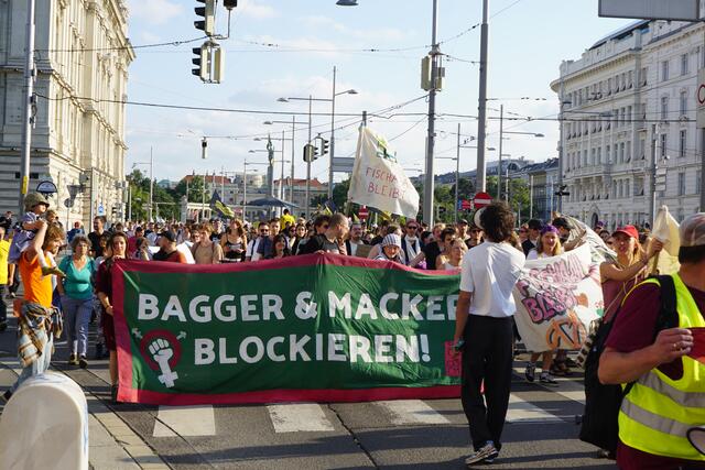 Klimastreik am Freitag: Tausende Menschen gingen in Wien auf die Straße. | Foto: Ronja Reidinger/MeinBezirk.at