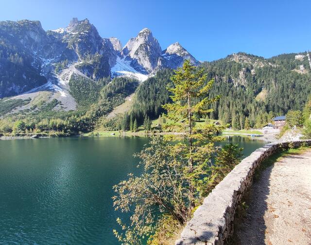 der eindrucksvolle Gosaukamm... | Foto: I.Wozonig
