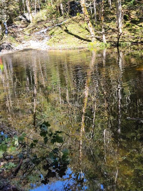 jetzt hat er viele Seitenarme in denen man schöne Spiegelungen sehen kann... | Foto: I.Wozonig