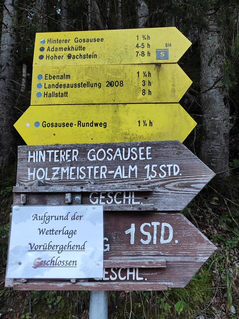 der Gosauseerundweg ist ganz leicht und dauert eine gute Stunde, wir sind zum Hinteren Gosausee und der Hütte gegangen, da sind schon einige Steigungen zu bewältigen... | Foto: I.Wozonig