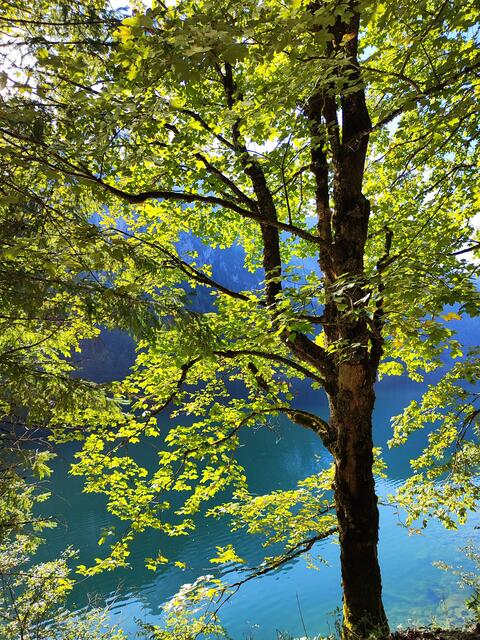 am Vorderen Gosausee haben wir noch etwas Abendsonne... | Foto: I.Wozonig