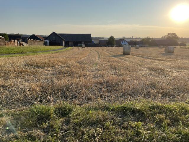 Die Einkünfte der NÖ Bauern haben sich um 20 Prozent verringert. | Foto: Schabauer/Archiv