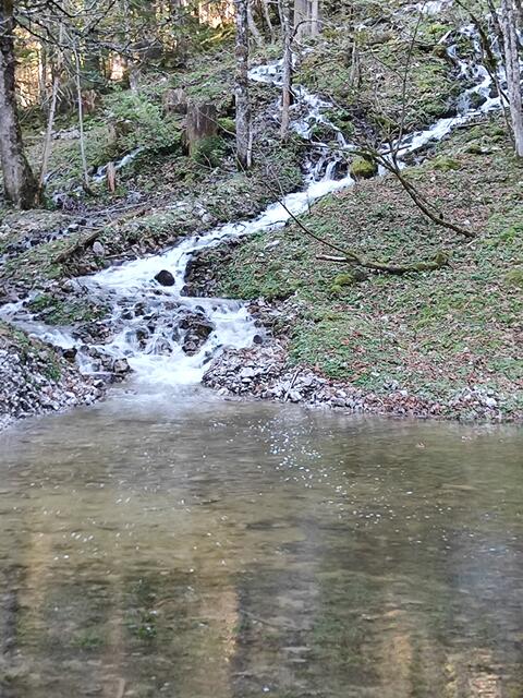 auch Wasserfälle speisen die Gosaulacke... | Foto: I.Wozonig