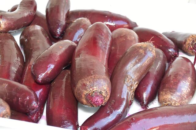 Regional, bio und nachhaltig: Die Roten Rüben vom Rietzerhof stehen für gesunden Genuss und umweltbewusste Produktion direkt aus Tirol. | Foto: MeinBezirk