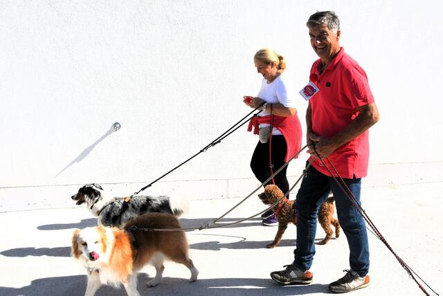 30 Jahre "Rote Nasen" Laufveranstaltung in Österreich.  | Foto: Schwaighofer