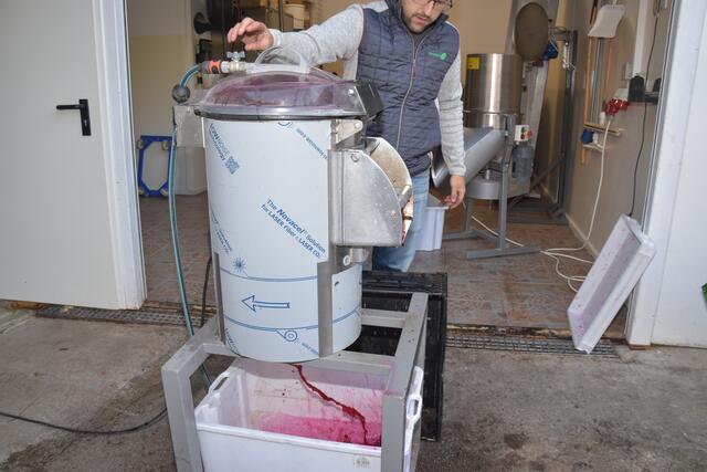 Gesunde Rohnen für die Region: Am Rietzerhof werden Rote Rüben auf umweltfreundliche Weise angebaut und frisch verarbeitet.
 | Foto: MeinBezirk