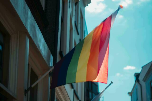 An Österreichs Landes- und Oberlandesgerichten werden künftig Brieftauben in den Farben des Regenbogens zu sehen sein. Justizministerin Alma Zadić (Grüne) stellte das entsprechende Projekt am Montag im Rahmen einer Pressekonferenz vor. Die Tauben sollen eine Entschuldigung an queere Opfer der Justiz sein. | Foto: Kaja Sariwating/Unsplash