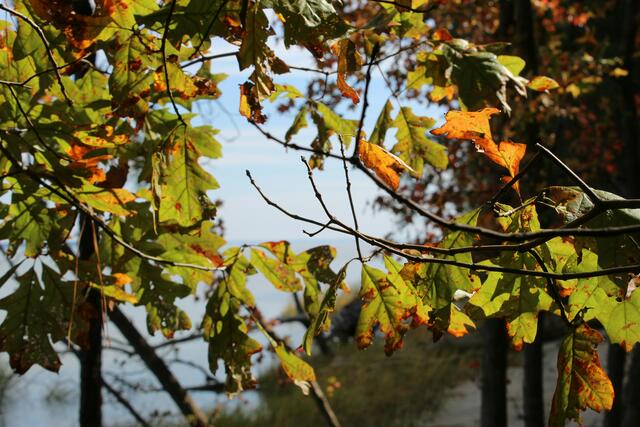 Ein wenig Sonne bekommen wir diese Woche, allerdings immer abwechselnd mit Regen und Wolken.  | Foto: unsplash