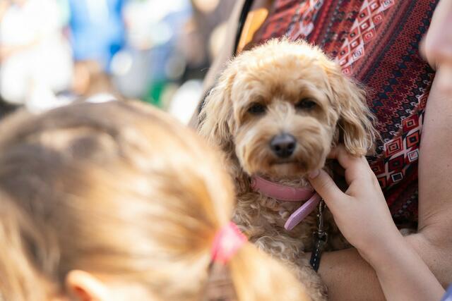 Foto: Rene Brunhölzl
