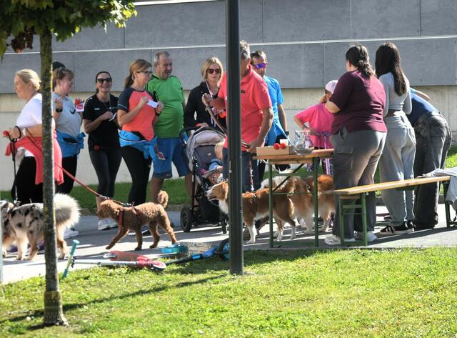 30 Jahre "Rote Nasen" Laufveranstaltung in Österreich.  | Foto: Schwaighofer