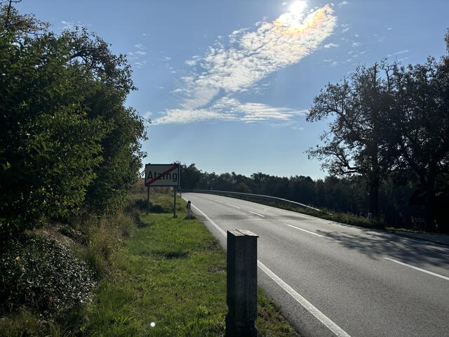 Passen Sie bei Spaziergängen auf Ihren Hund auf! | Foto: MB
