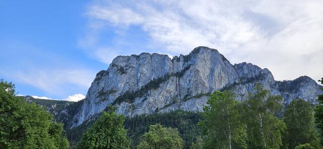 Die Bergrettung war auf der Drachenwand im Einsatz. | Foto: Bergrettung Mondseeland