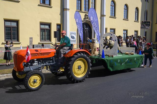 Foto: Peter Bolha