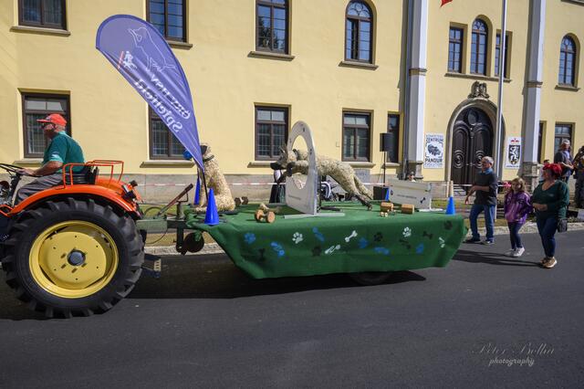 Foto: Peter Bolha