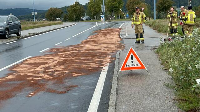 Kilometerlang zog sich die Ölspur  | Foto: DOKU-Niederösterreich