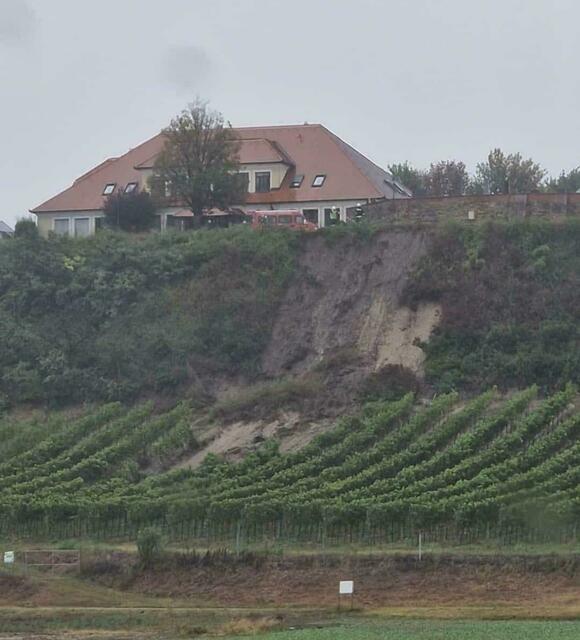 Auch Hangrutsche bedrohen die Landwirtschaft wie hier den Weinanbau. | Foto: FF Hausleiten