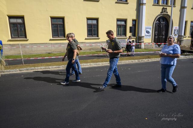 Foto: Peter Bolha