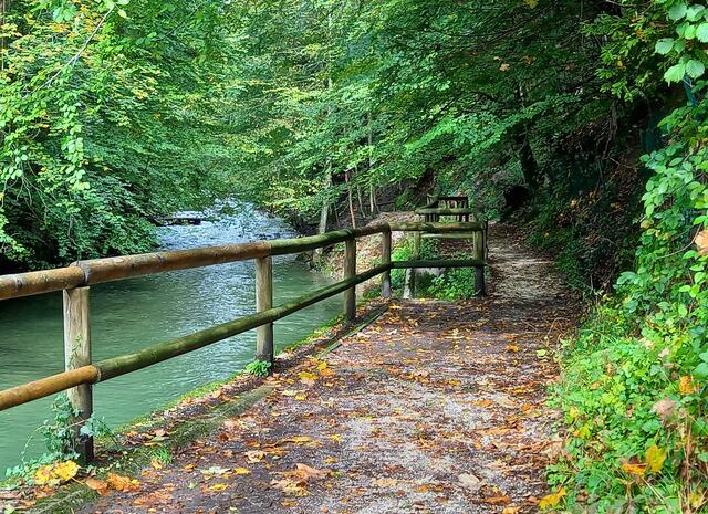 An der Zellerache  | Foto: H. Bachinger