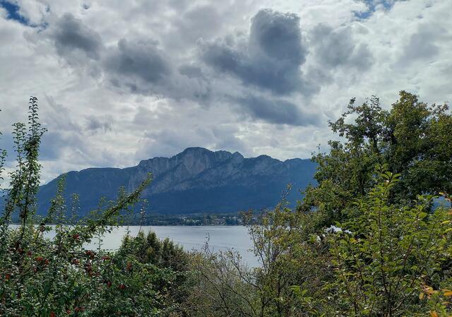 Foto: H. Bachinger