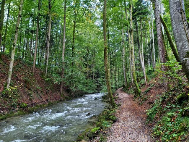 Foto: H. Bachinger