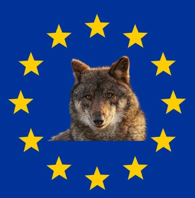 Österreich spielte bei der Entscheidung der EU eine entscheidende Rolle. | Foto: Collage Pixabay