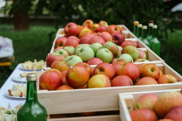 Äpfel, Birnen und viele andere Obstsorten mehr stehen in bester Qualität zur Verfügung. | Foto:  Karin Wernig
