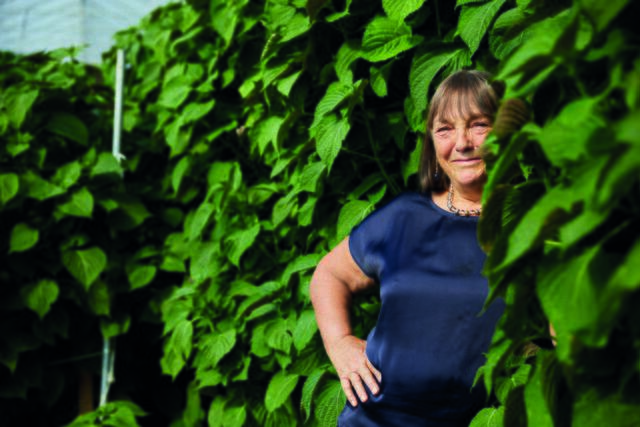 Reinhild Frech-Emmelmann ist die „Beste Bio-Landwirtin in der EU“ | Foto: ReinSaat GmbH