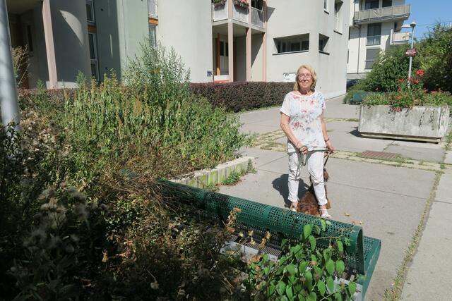 Foto: Patricia Hillinger/MeinBezirk