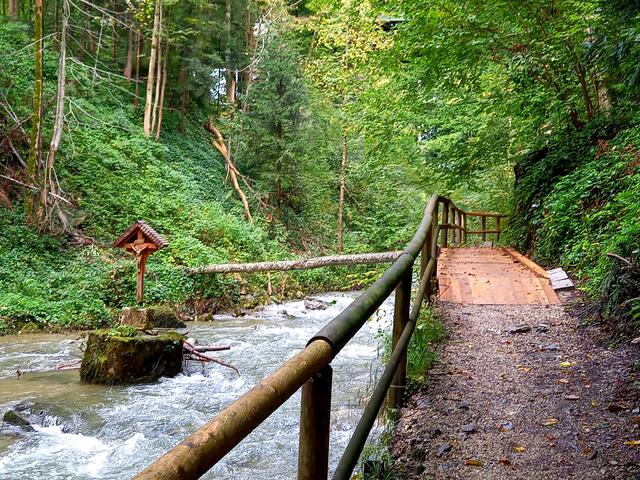 Foto: H. Bachinger