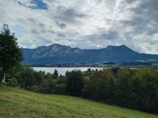 Foto: H. Bachinger
