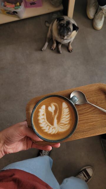 Kaffeekunst in Perfektion – Alina Kirchners Latte Art begeistert mit detailreichen Mustern.
