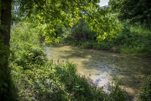 Stück für Stück wird der Liesingbach renaturiert.  | Foto: Wien Kanal/Ivan Bandic