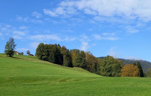 Foto: H. Bachinger